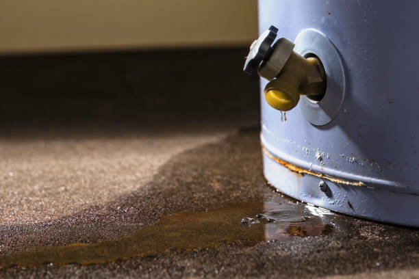 Best Basement water damage restoration  in Lynchburg, VA