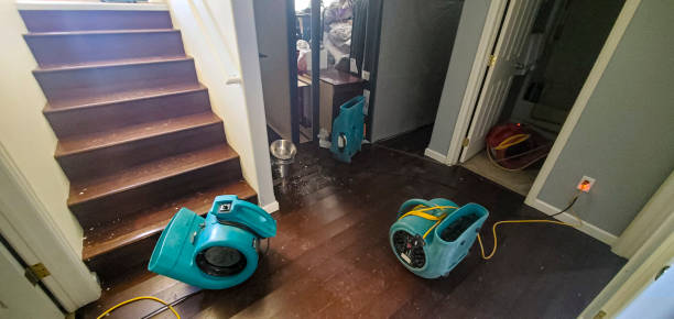Best Local water damage restoration  in Lynchburg, VA