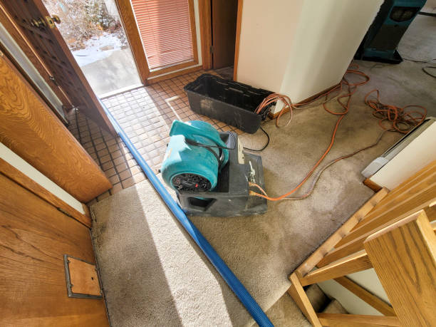 Reliable Lynchburg, VA Water damage restoration Solutions