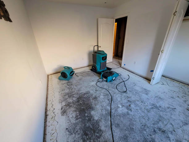 Best Professional water damage repair  in Lynchburg, VA