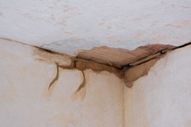 Best Water damage restoration near me  in Lynchburg, VA