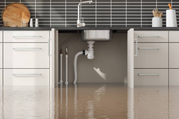 Best Flood damage cleanup  in Lynchburg, VA