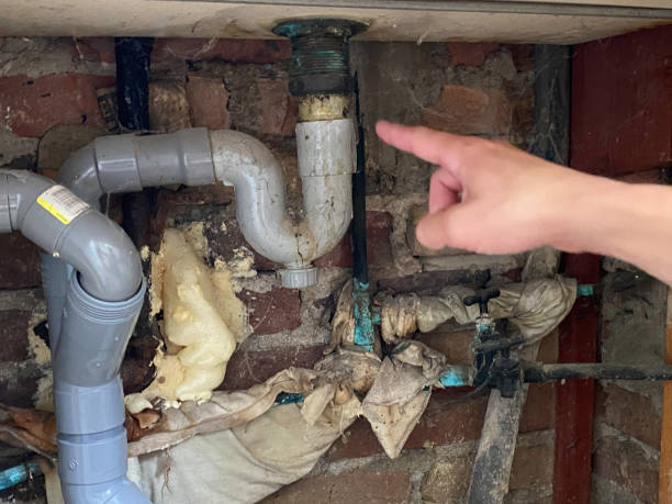 Best Water damage contractors near me  in Lynchburg, VA