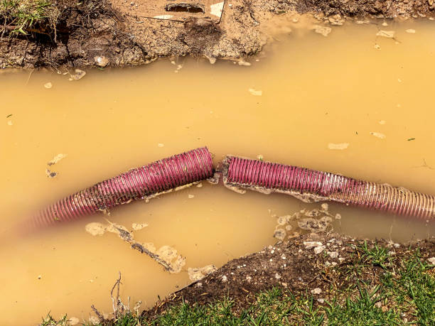 Best Flood restoration services  in Lynchburg, VA